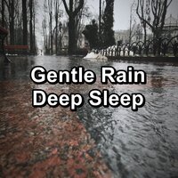 Calm Rain To Help with Insomnia To Relax and Loop for 8 Hours - Sleep Songs with Nature Sounds & Rest & Relax Nature Sounds Artists & Nature & Sounds Backgrounds