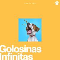 Coastal Chronicles - Música Para Cachorros