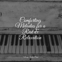 Rocks on Ice - Bar Lounge & Classical Lullabies & Relaxing Piano Music Consort