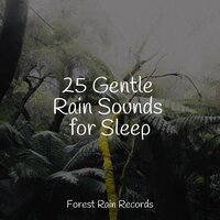Rain in the Garden - Nature Sounds Collection & Sonidos De Lluvia y Tormentas & Sleep Makers Samples
