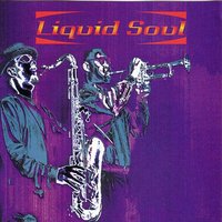 Java Junkie - Liquid Soul