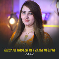 Chey Pa Naseeb Key Zama Neshta - Dil Raj