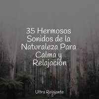 Oscuridad - Escola de Meditação & Sons da Natureza & Piano para Dormir