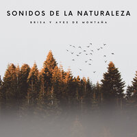 Canción De Pájaros En El Bosque - Sonidos De Pajaros & Sonidos de Aves & Flor de Loto