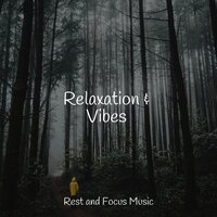 Between Two Worlds - Reiki Tribe & Relax Meditation Sleep & Relaxing Sleep Music