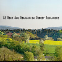 Божественная гармония - Sounds of Nature White Noise for Mindfulness Meditation and Relaxation