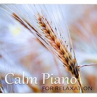 Positive Thinking Melodies - Sentimental Piano Music Oasis