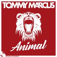 Animal - Tommy Marcus
