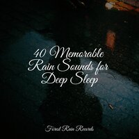 Forest Ambience, Strong Wind, Rain - Rainfall For Sleep & Sounds Of Nature Relaxation & Naturaleza Sonidos