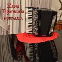 Ambitions - Zoe Tiganouria