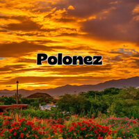 Polonez - Grupo Fantasía & Son Andino