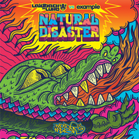 Natural Disaster - Laidback Luke & Example