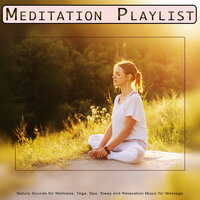 Calm Music for Meditation - Meditation Playlist & 1 Hour Meditation & Music for Meditation