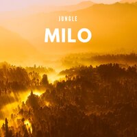 Poor - Milo
