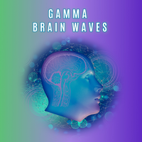 Gamma Waves for Concentration & Focus - Emiliano Bruguera