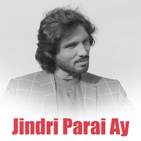 Assan Aadi Aan Yar De Rolay De - Tanveer Anjum