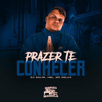 Prazer Te Conhecer - Dj Salva & MC Delux & HBL