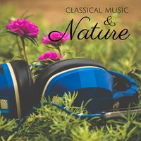 Nutcracker Suite, Op. 71a: No. 3, Waltz of the Flowers. Tempo di valse - Donetsk Symphony Orchestra & Silvano Frontalini & Пётр Ильич Чайковский