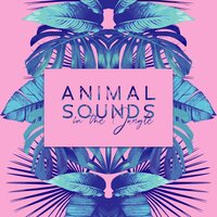Animal Language - Harmony Nature Sounds Academy