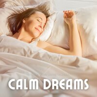 Sleep Therapy - The Deep Sleep Music Academy