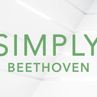 Beethoven: Symphony No. 1 in C Major, Op. 21 - III. Menuetto. Allegro molto e vivace - Wiener Philharmoniker & Leonard Bernstein & Ludwig van Beethoven