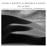 Starbursts and Haloes (with Scott Colley & Satoshi Takeishi) - Joshua Redman & Brooklyn Rider & Patrick Zimmerli & Satoshi Takeishi & Scott Colley