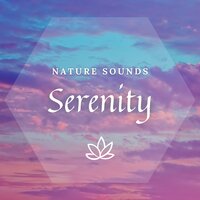 Mystic (Spa Music) (with Waves Sound) - Meditway