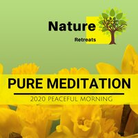 Extereme Feel - Zen Healing Melodies