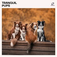 Ear Wiggles - Dog Whisper & Dog Sleep & Dog Music Jukebox