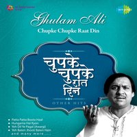Toone Kuch Bhi Na Kaha Ho Jaise - Ghulam Ali