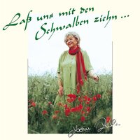 Wenn das die Kelten wüßten - Karin Roth