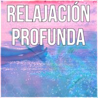 Pensamiento Positivo - Relajación Música Fondo Conjunto