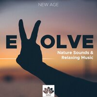 Flute (Relaxation Music) - Piano Love Songs