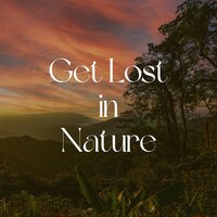 Plethora of Greens - Sounds of the Forest