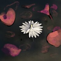 Lotus - Nogymx & Matchbox Youth