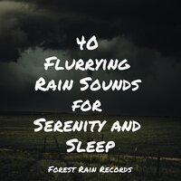 Forest, Busy, Animals - Loopable Rain & Meditation & Tinnitus