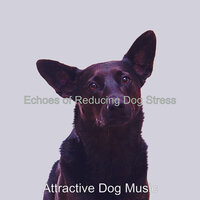 Background for Resting Dogs - Attractive Dog Music