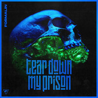 Tear Down My Prison - Formalin & Rob Dust