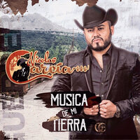 Mis Errores Pagando - Nicolas Garcia
