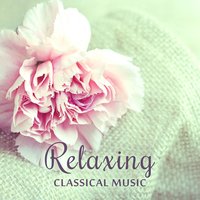 String Quartet No. 77 in C Major, Op. 76 No. 3, Hob. III:77 “Emperor”: III. Menuetto – Allegro - Moonlight Sonata & Йозеф Гайдн