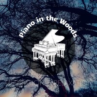 Wonderful - Piano Dreamers & Piano in the Woods/ Meditation Music therapy