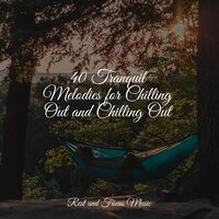 Time for Reflection - Soothing Chill Out For Insomnia & Relaxing Mindfulness Meditation Relaxation Maestro & Meditation Relaxation Club