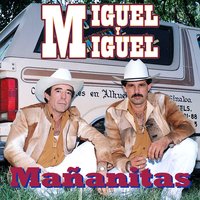 Cariño Sin Condición - Miguel Y Miguel