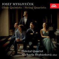 Quintet No. 1 in B-Flat Major: II. Larghetto - Doležal Quartet & Michaela Hrabankova & Йозеф Мысливечек