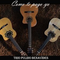Como Te Pago Yo - Trio Pulido Benavides