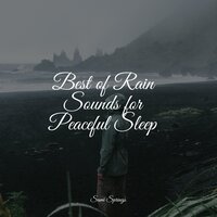 Ocean, Shore, Heavy - Pro Sound Effects Library & Rain Sound Plus & Calm shores