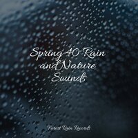 Rain Drops - Mother Nature FX & Música para Massagem Especialistas & Easy Sleep Music