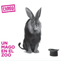 Herida Perfecta - Cargo