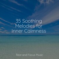 Mount Pillowtop - Relaxamento & Asian Zen Spa Music Meditation & Reiki Music