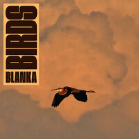 Mystic Seagull - Blanka & Onra